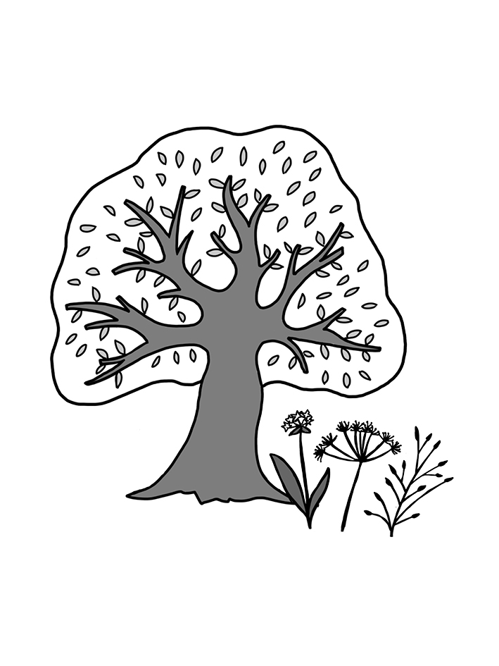 Wald und Natur erleben und etwas herstellen